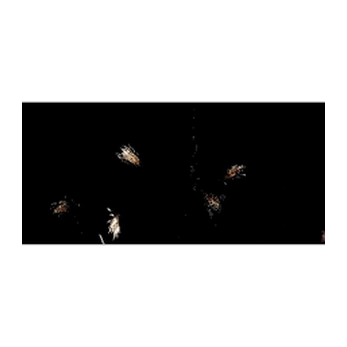 PT-CB30-F25-22.webp